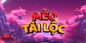 meo phat tai nohu